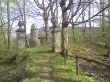 DSC00313.JPG