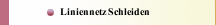 Liniennetz Schleiden